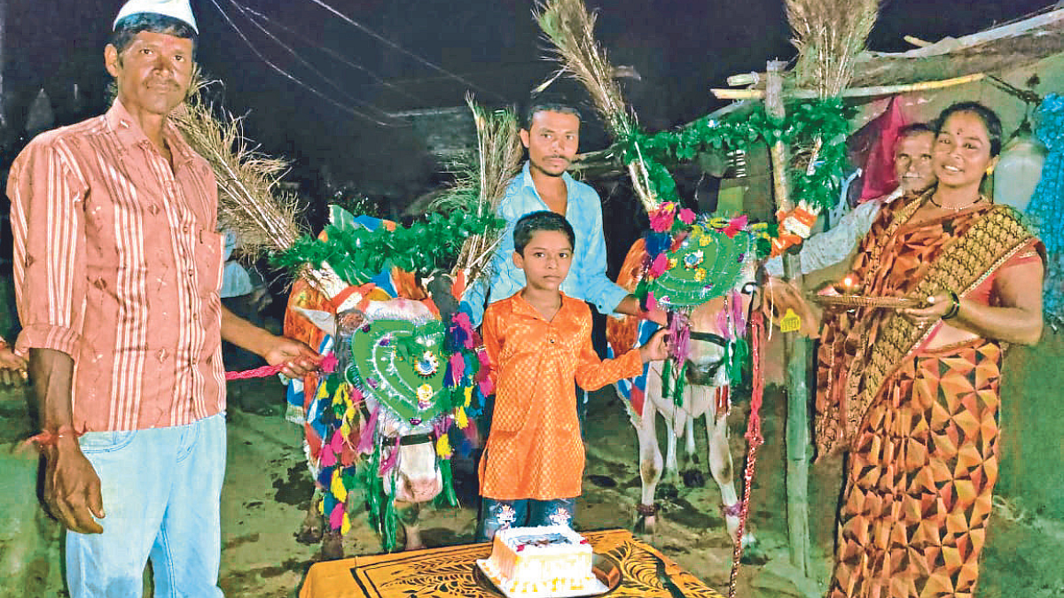 Bull Birthday
