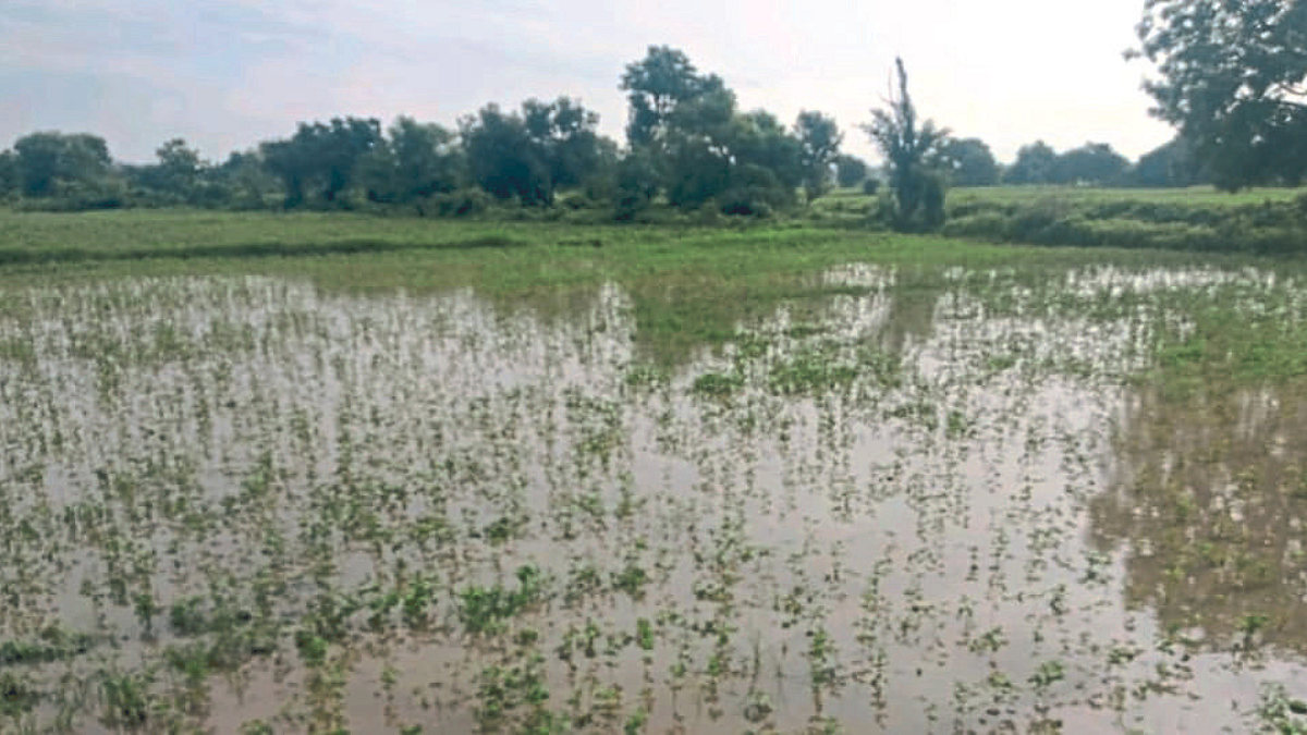 Nanded Rain