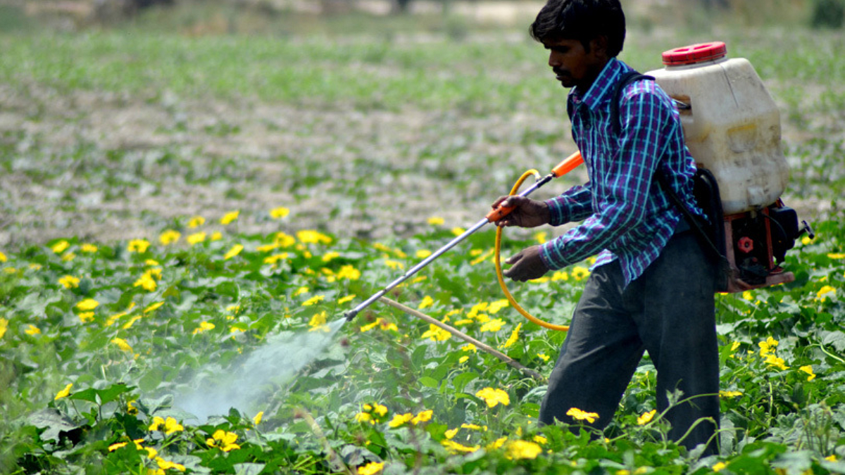 Crop Protection