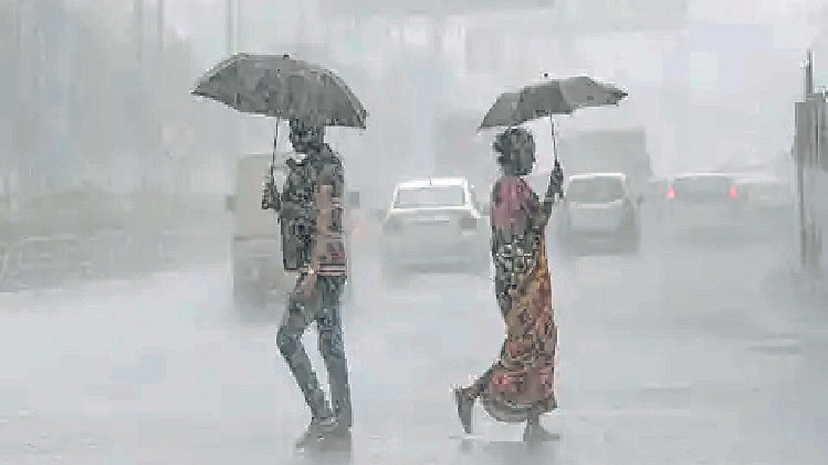 Oddisa Rain