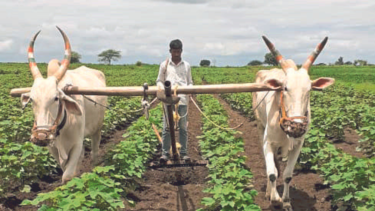 Agriculture
