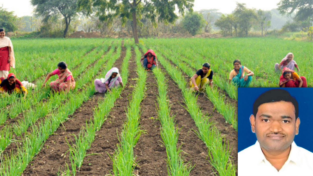 Group Farming