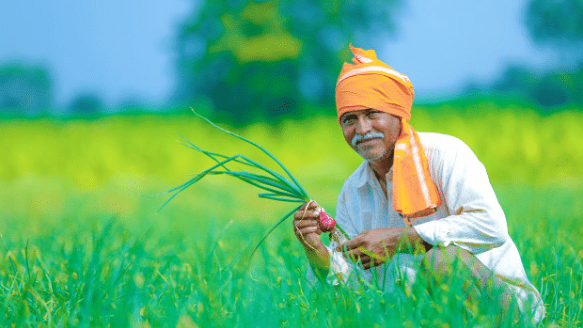 Agriculture Crdit