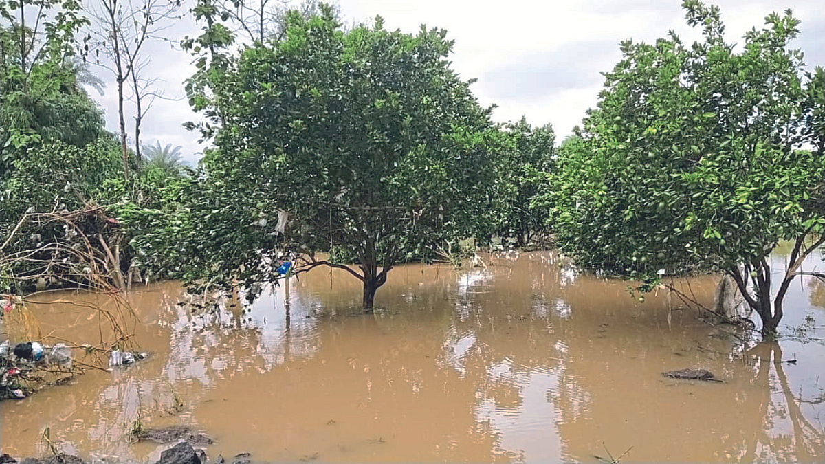Crop damage