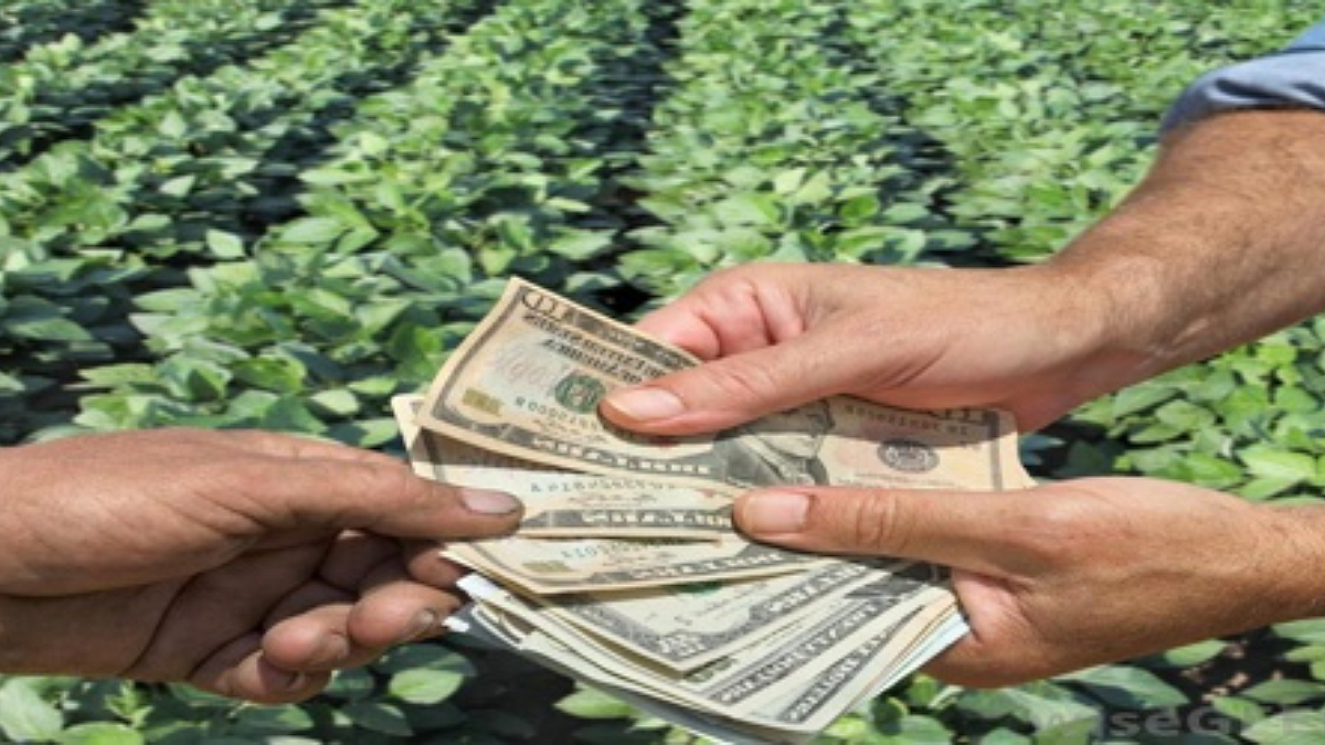 Agriculture Credit