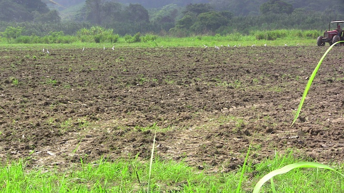 Maharashtra Farming