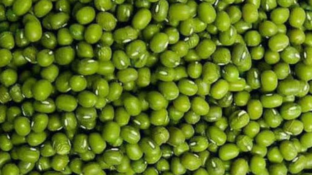 Green Gram