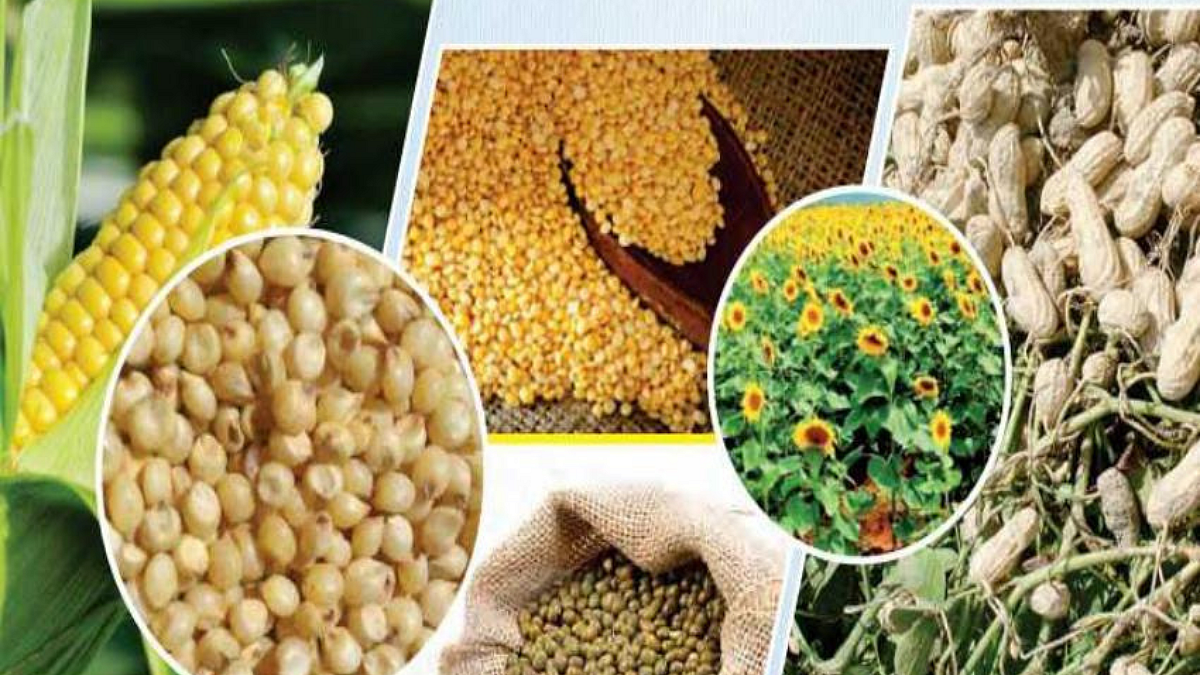 Kharif Crops