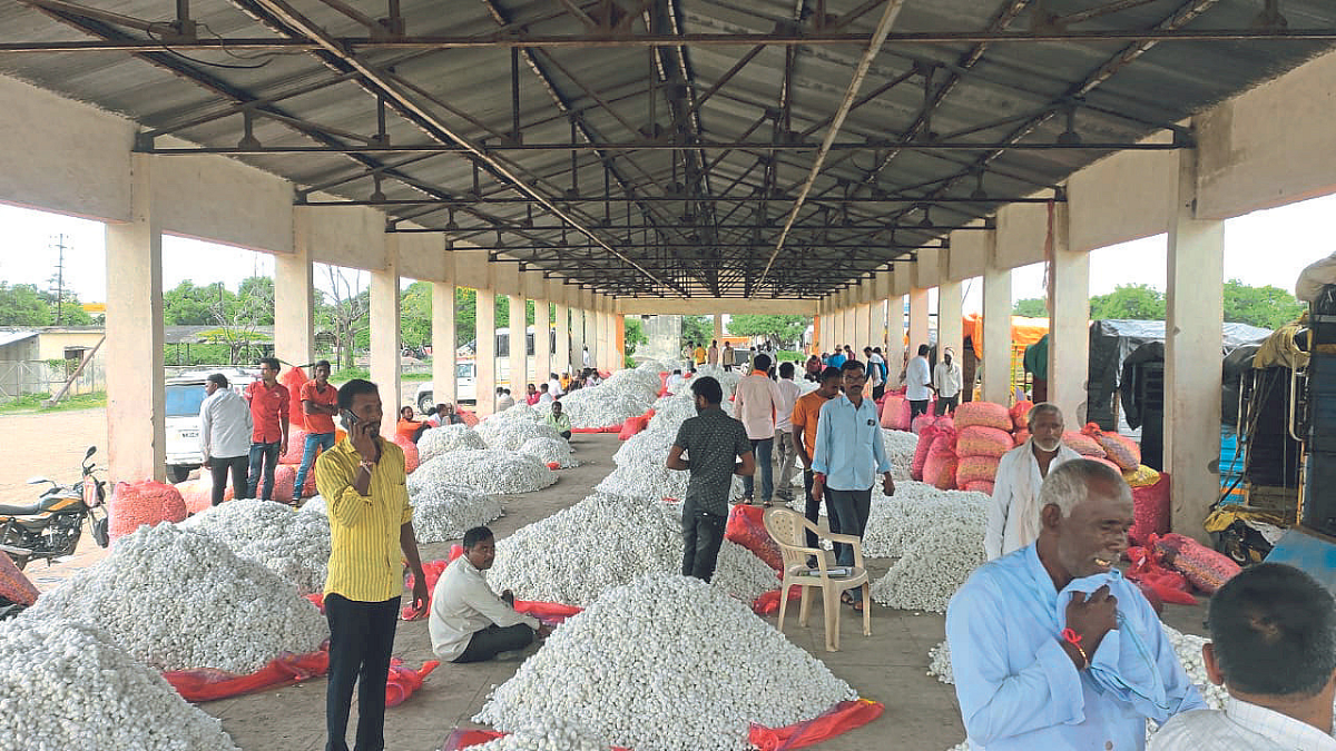 Silk Farming