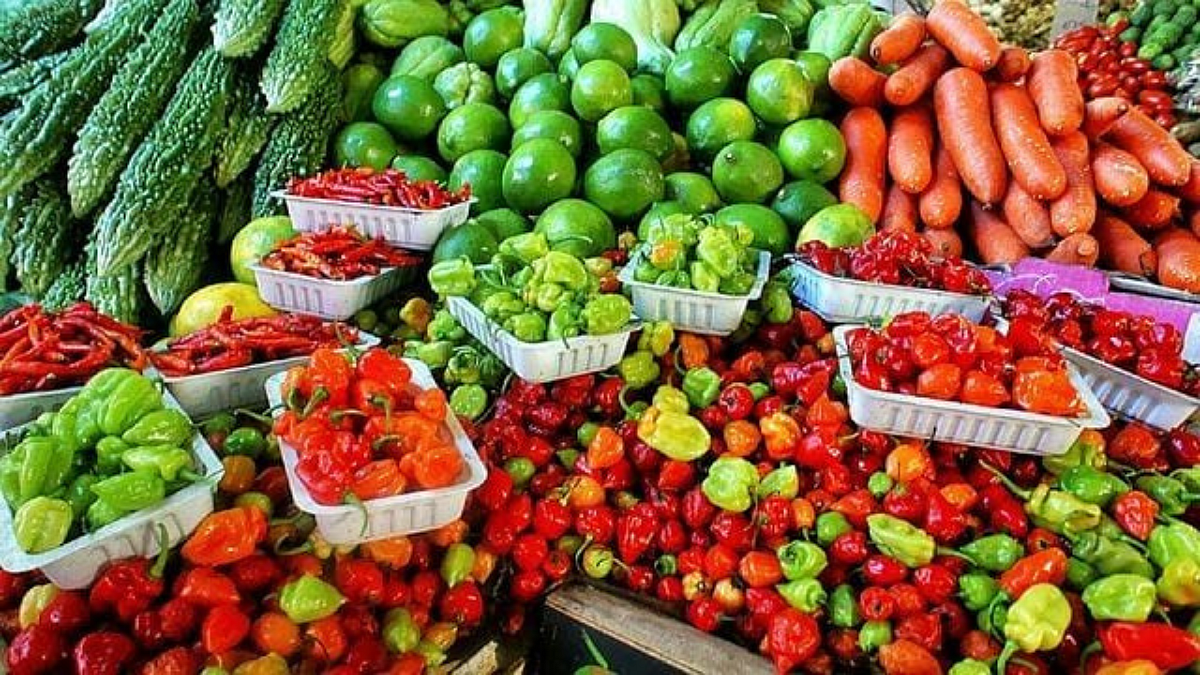 Vegetable Farming