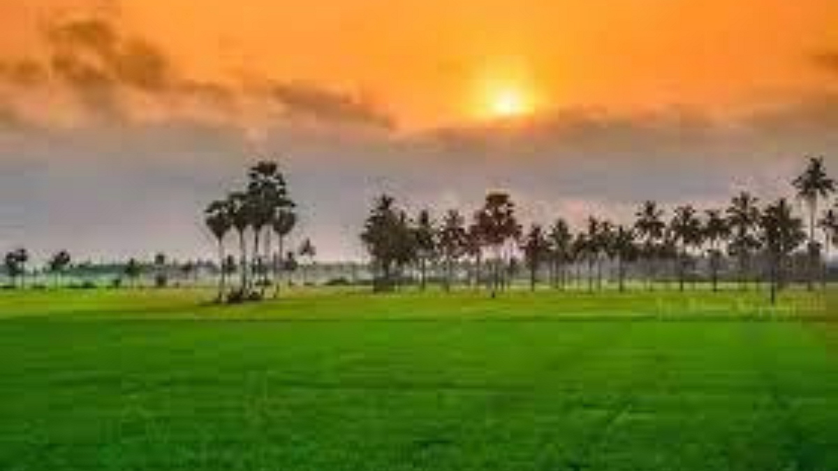 Agriculture