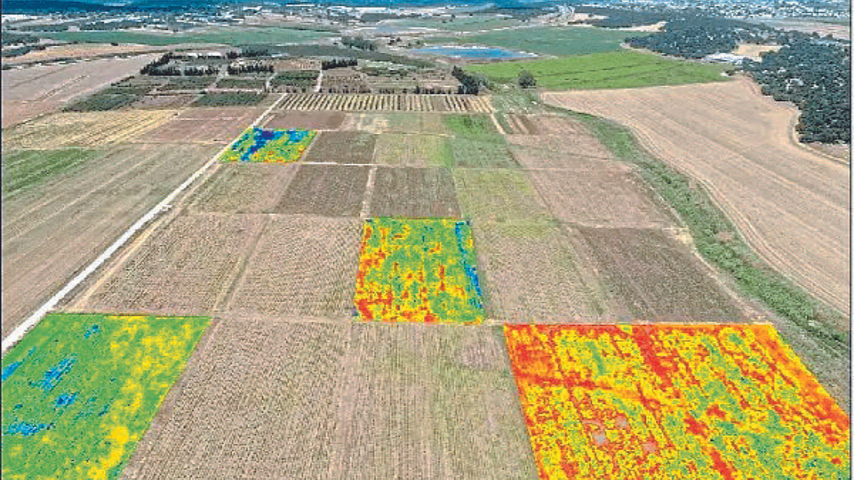 Agriculture Technology