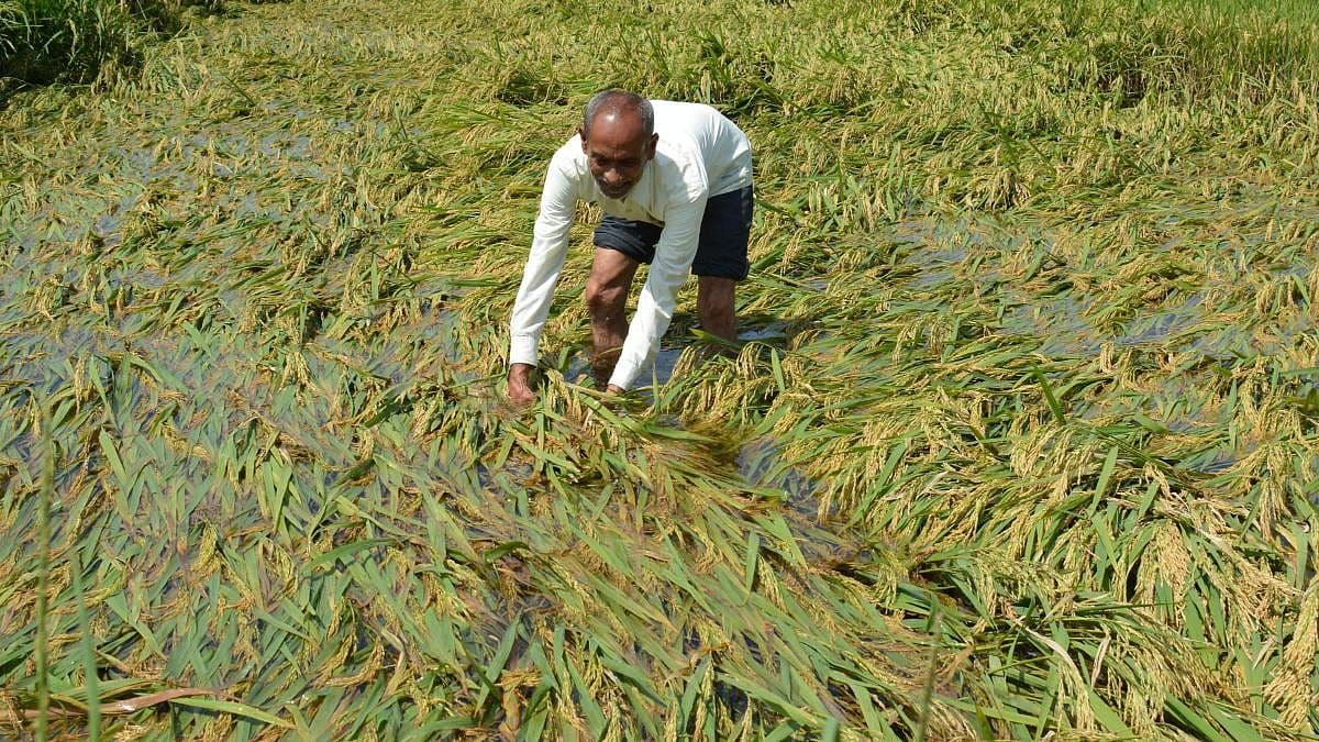 Crop Damagea