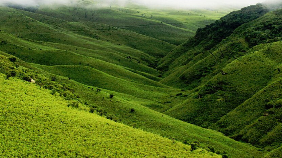 Assam Arunachal