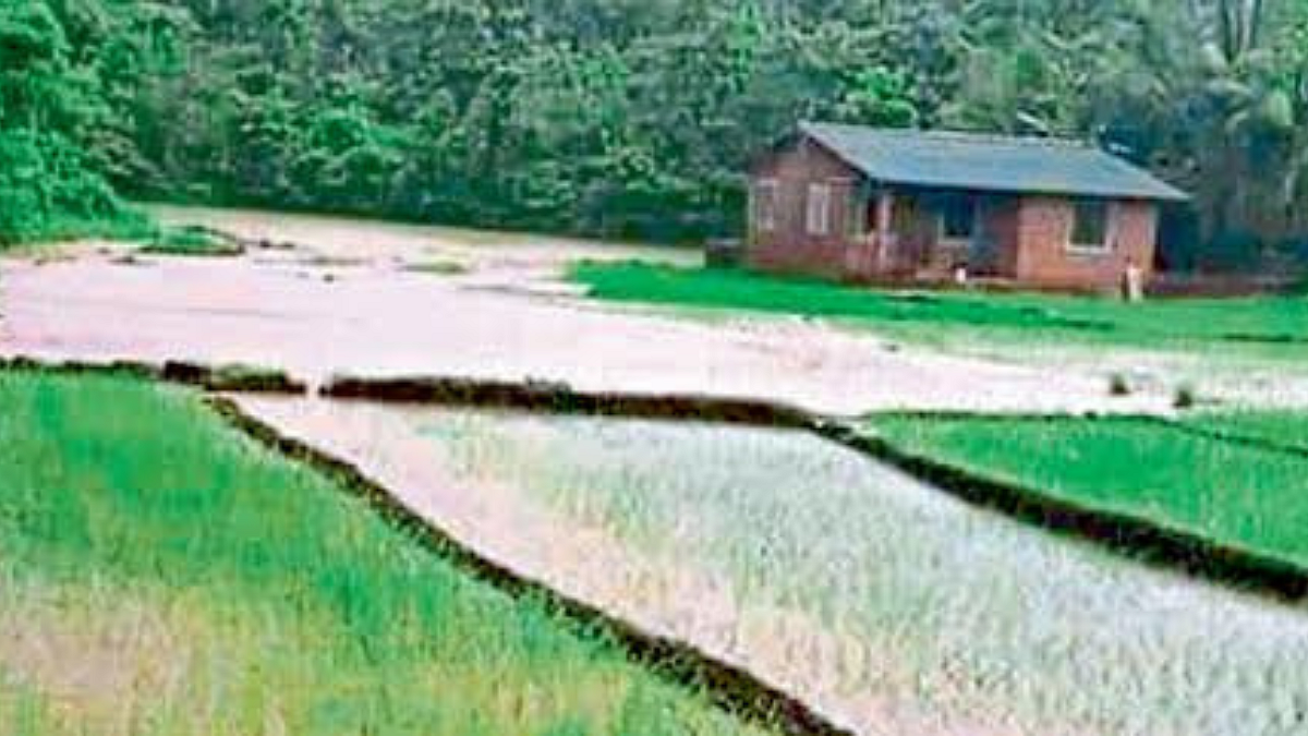 Crop Damage