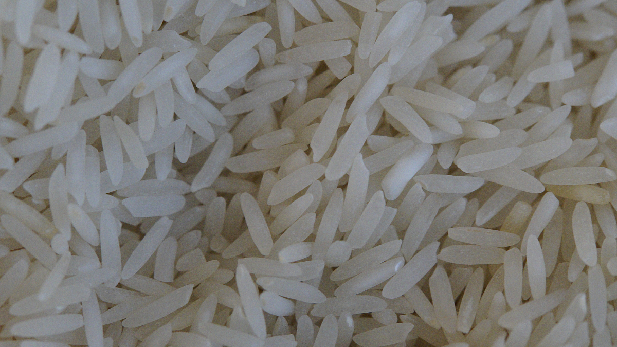 Rice