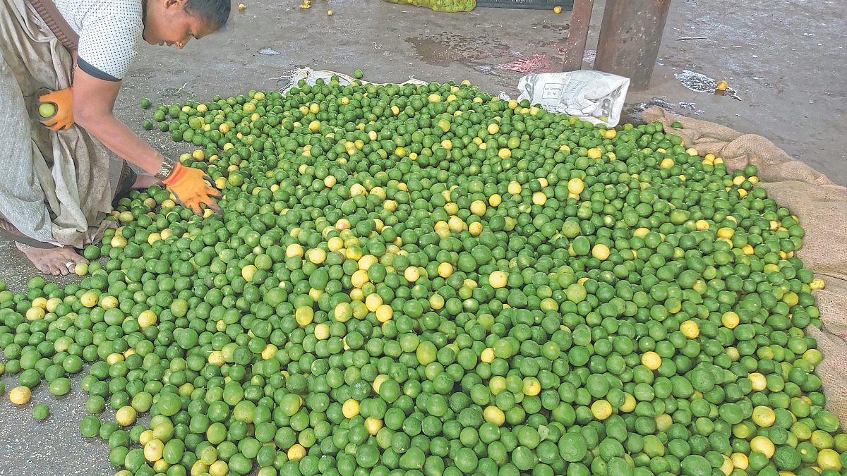 Vegetable Market