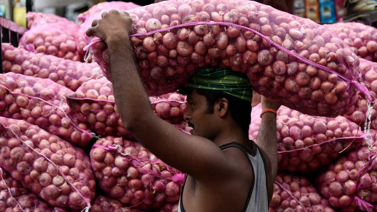Onion Export
