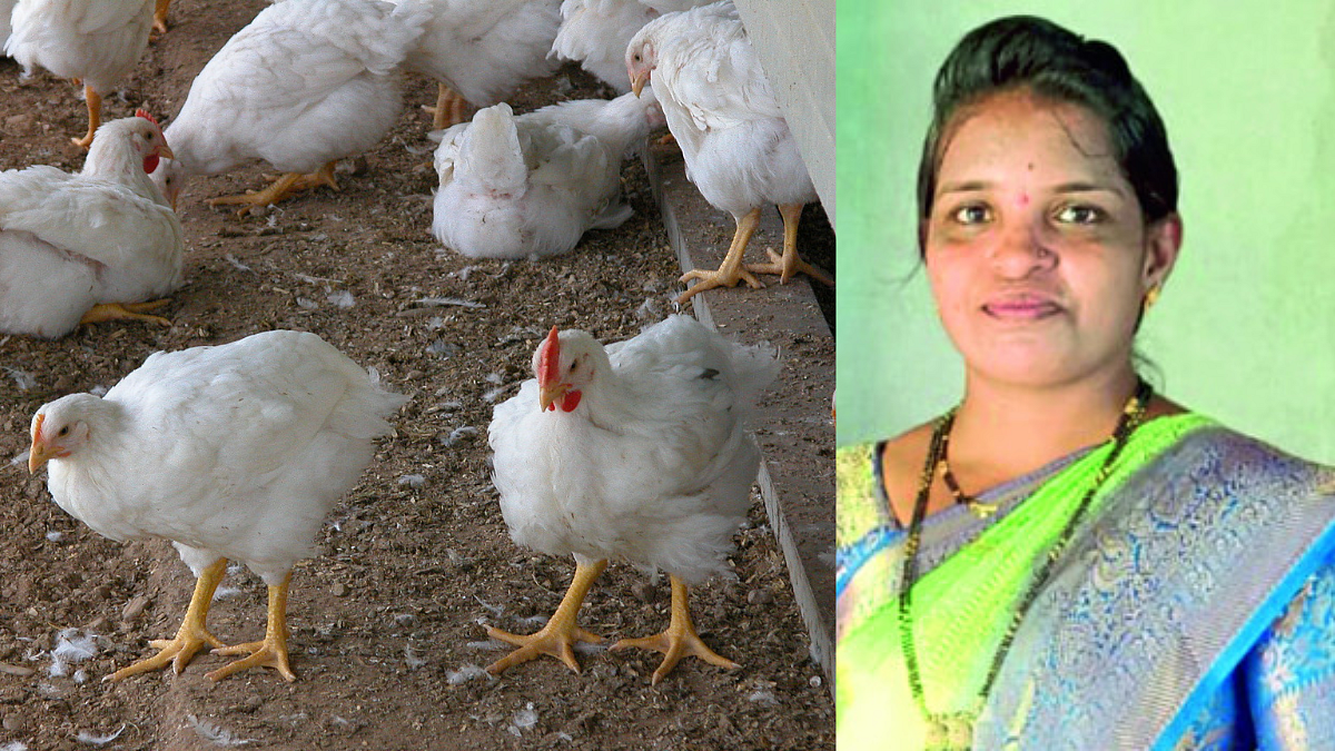 Poultry Farming By Self Help Group
