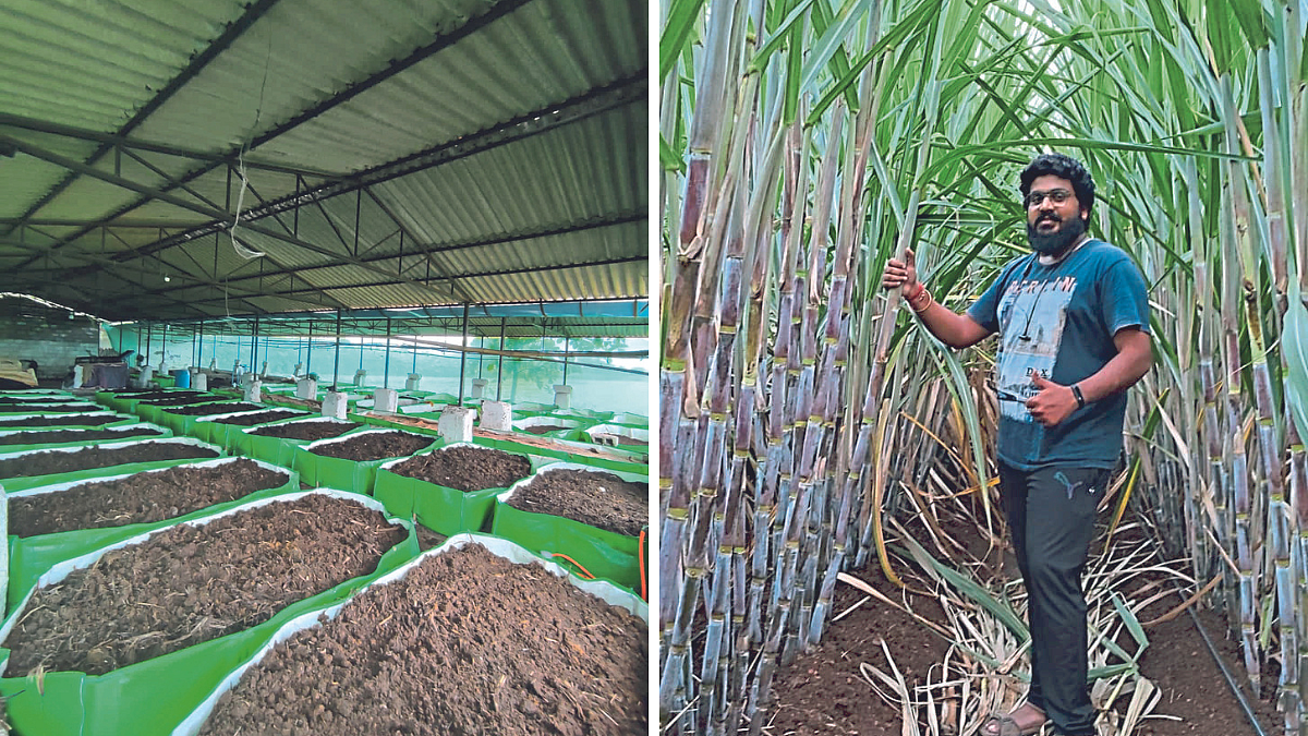 Vermicompost