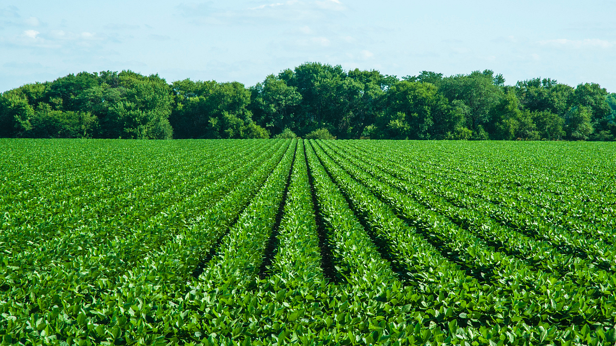 Agriculture