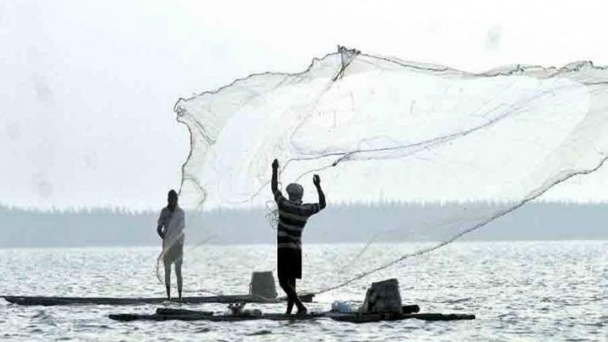 Fish Farming