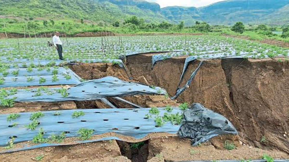 Crop Damage