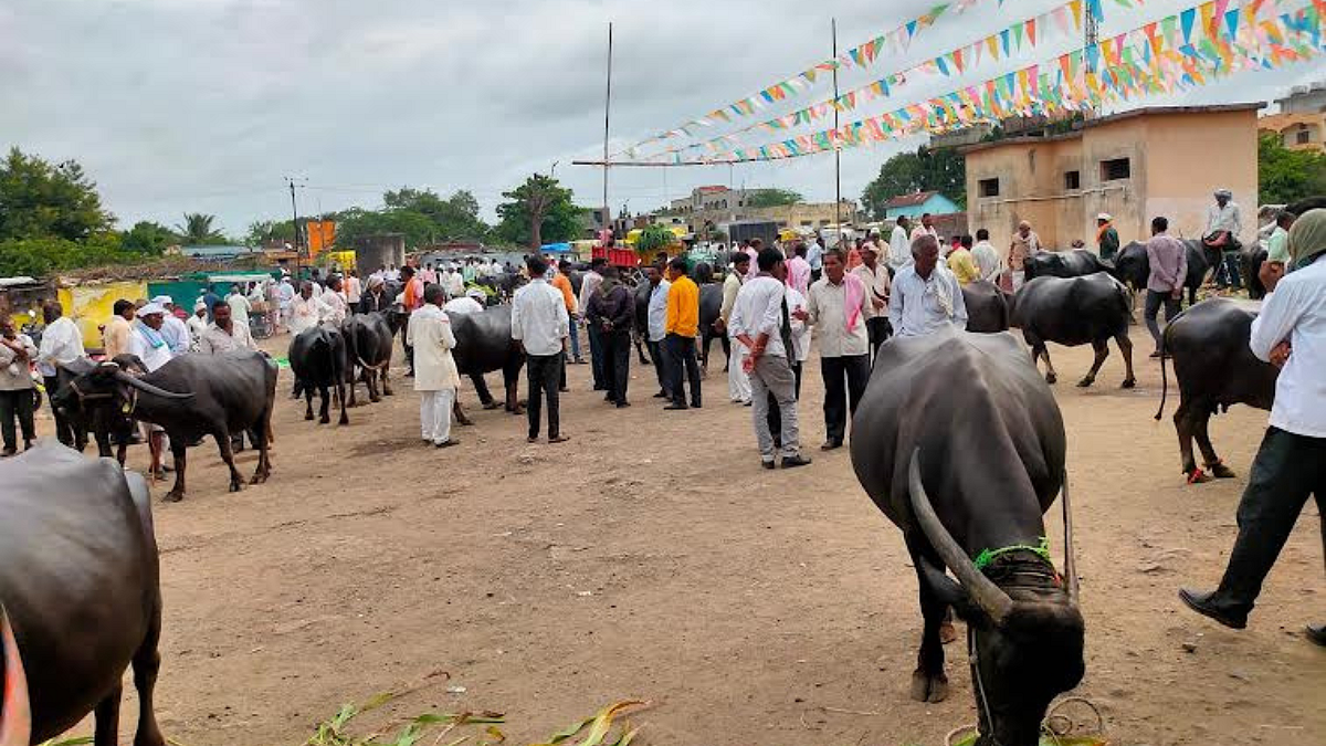 Buffalo Market