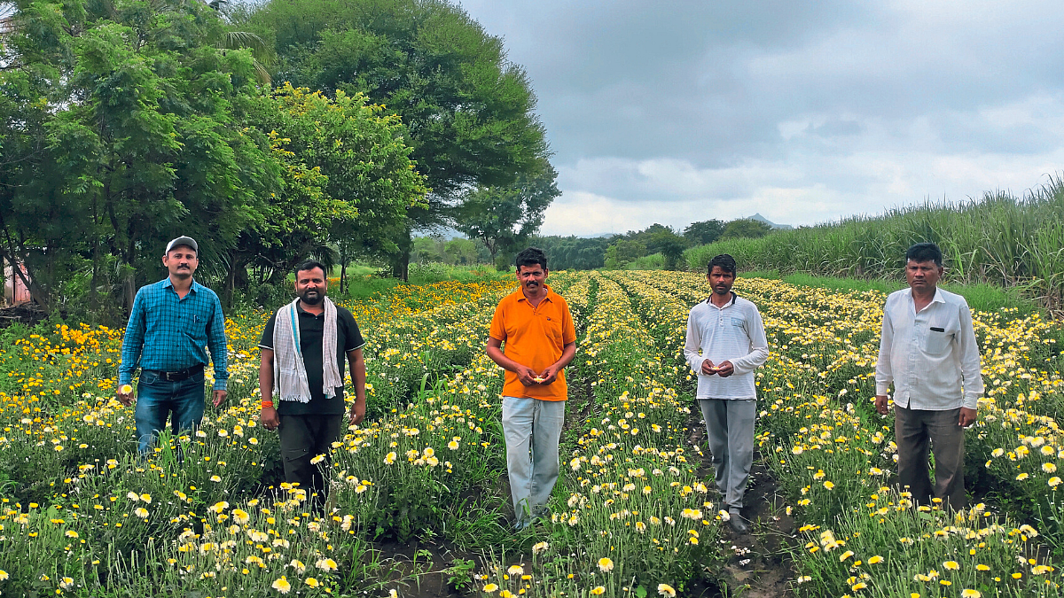 Flower Farming