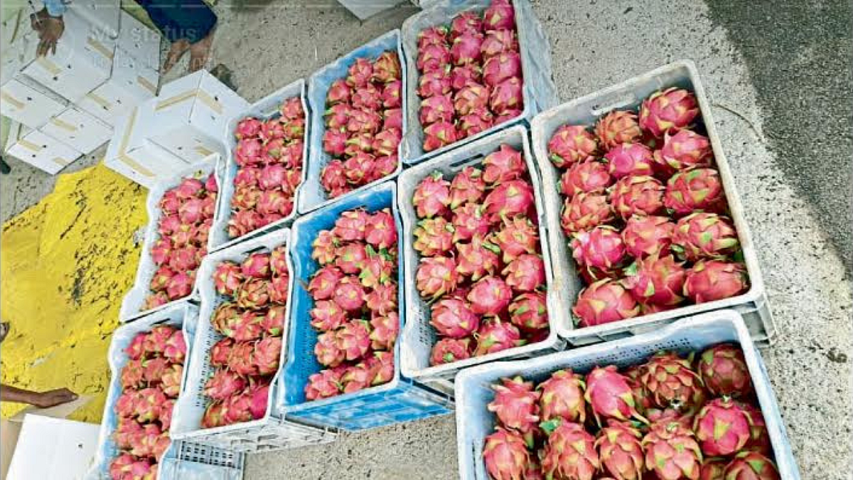 Fruit Market Solapur