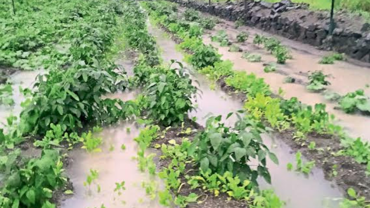 Rain Update