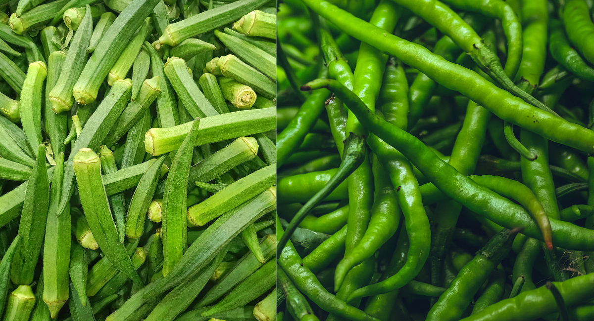 Bhendi, Chilli New Variety