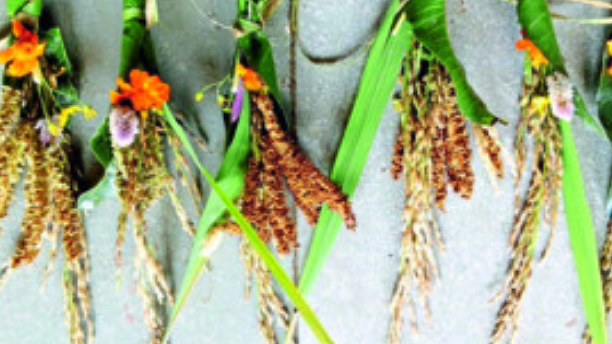 Dussehra: Festival of food prosperity, equality and unity