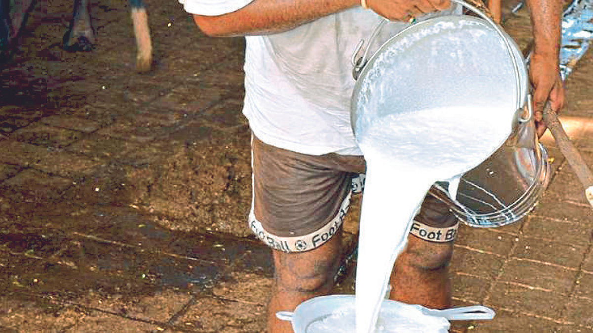 Milk Rate