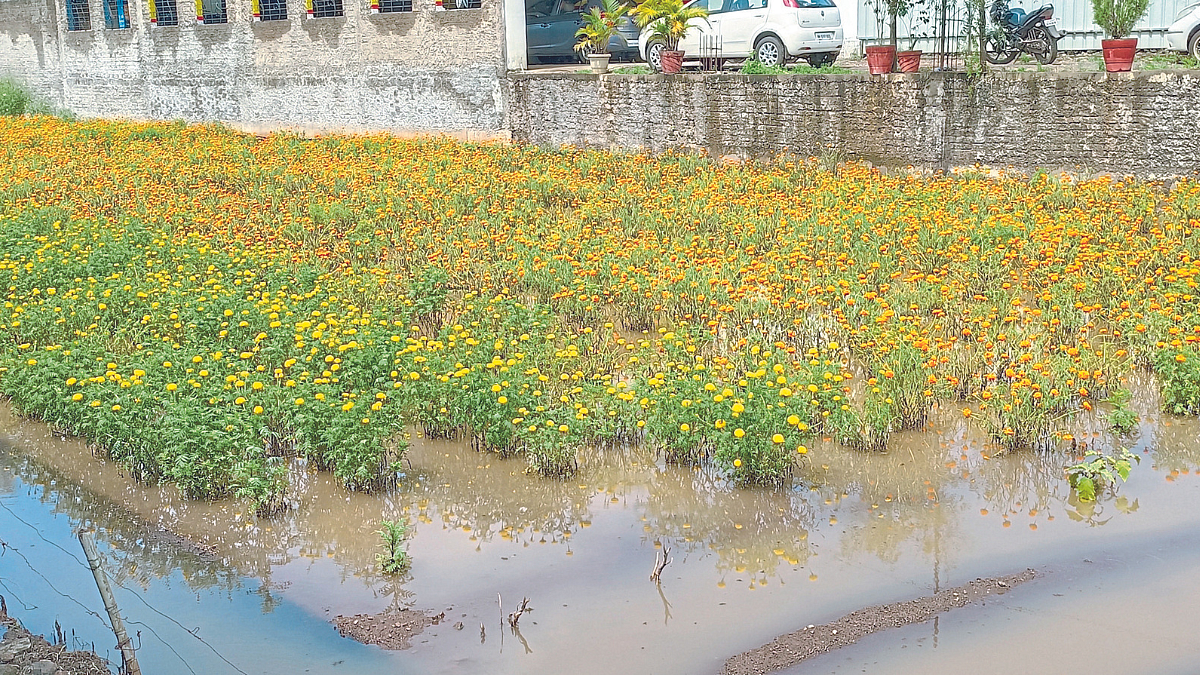 Heavy Rain