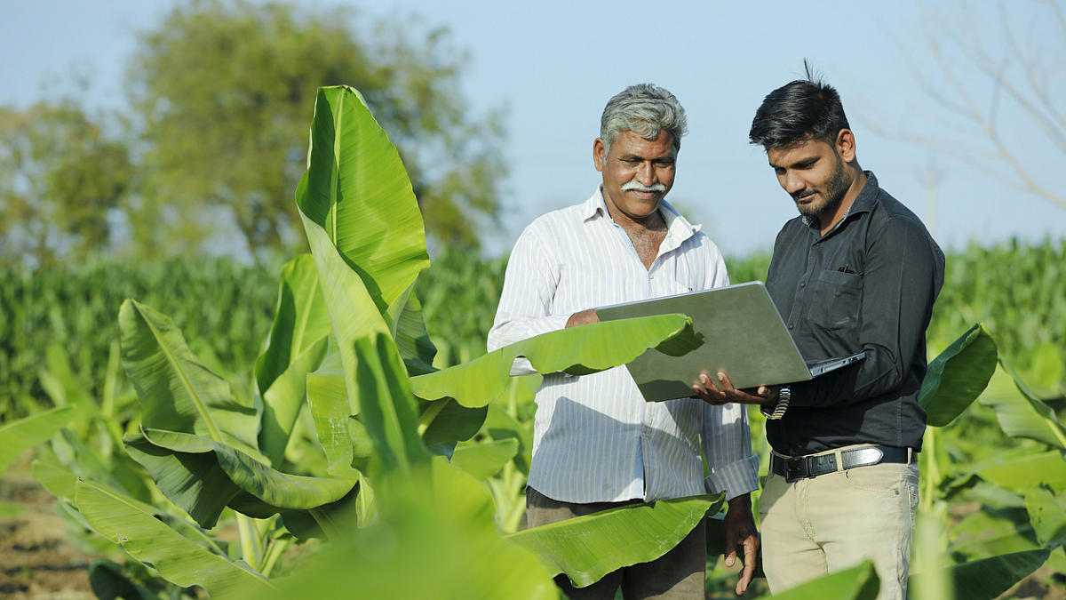 Farmer Income