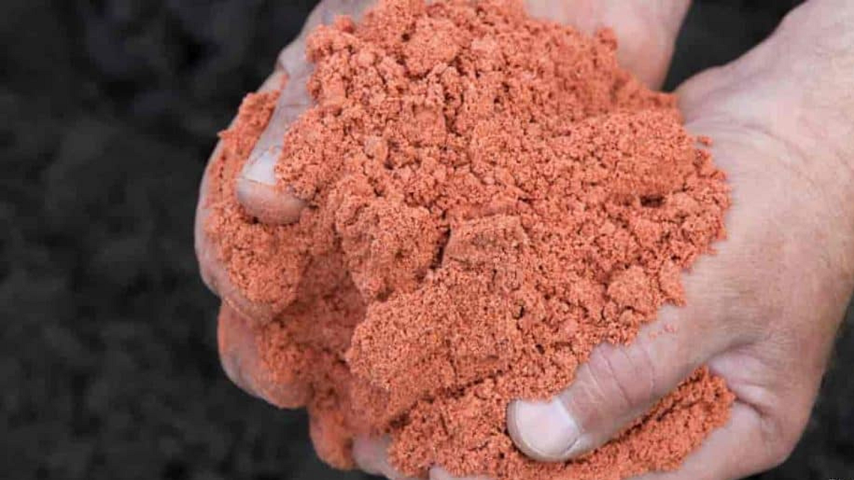 Fertilizer import