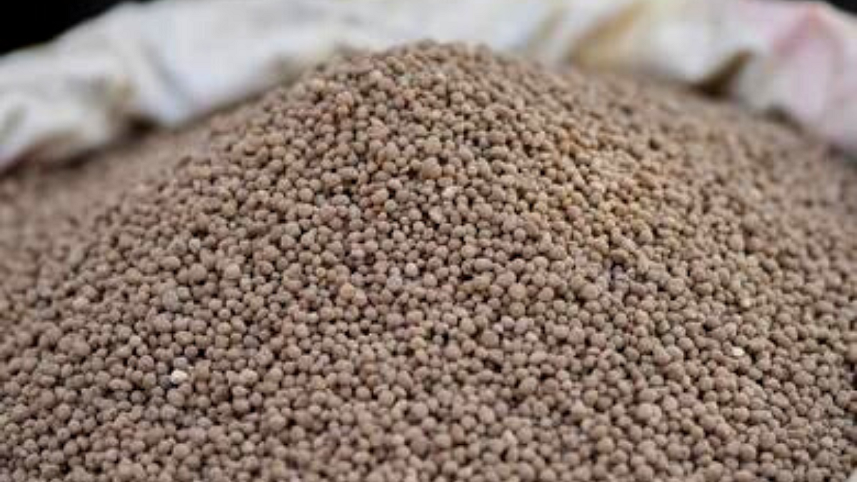 Fertilizer Rate