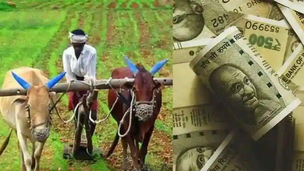 Farmer Loan