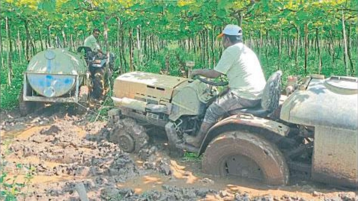 Crop Damage