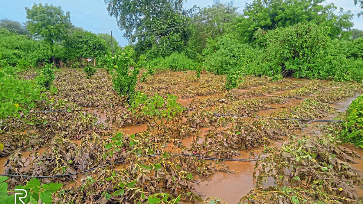 Monsoon Update
