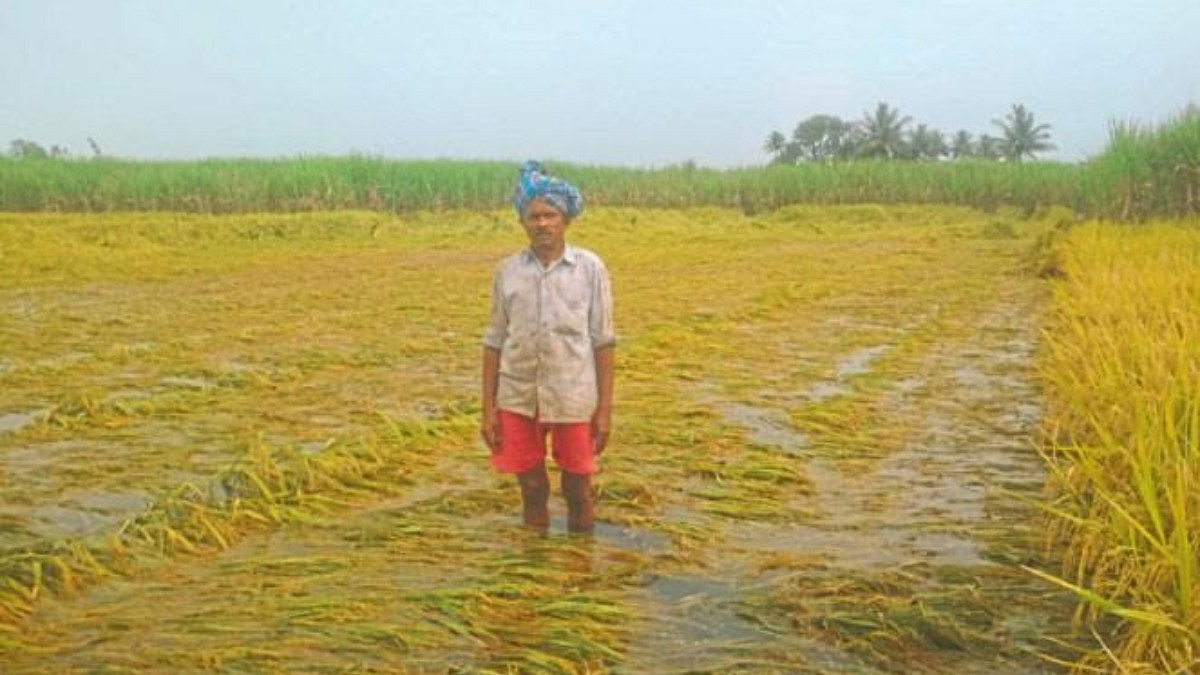 Crop Damage