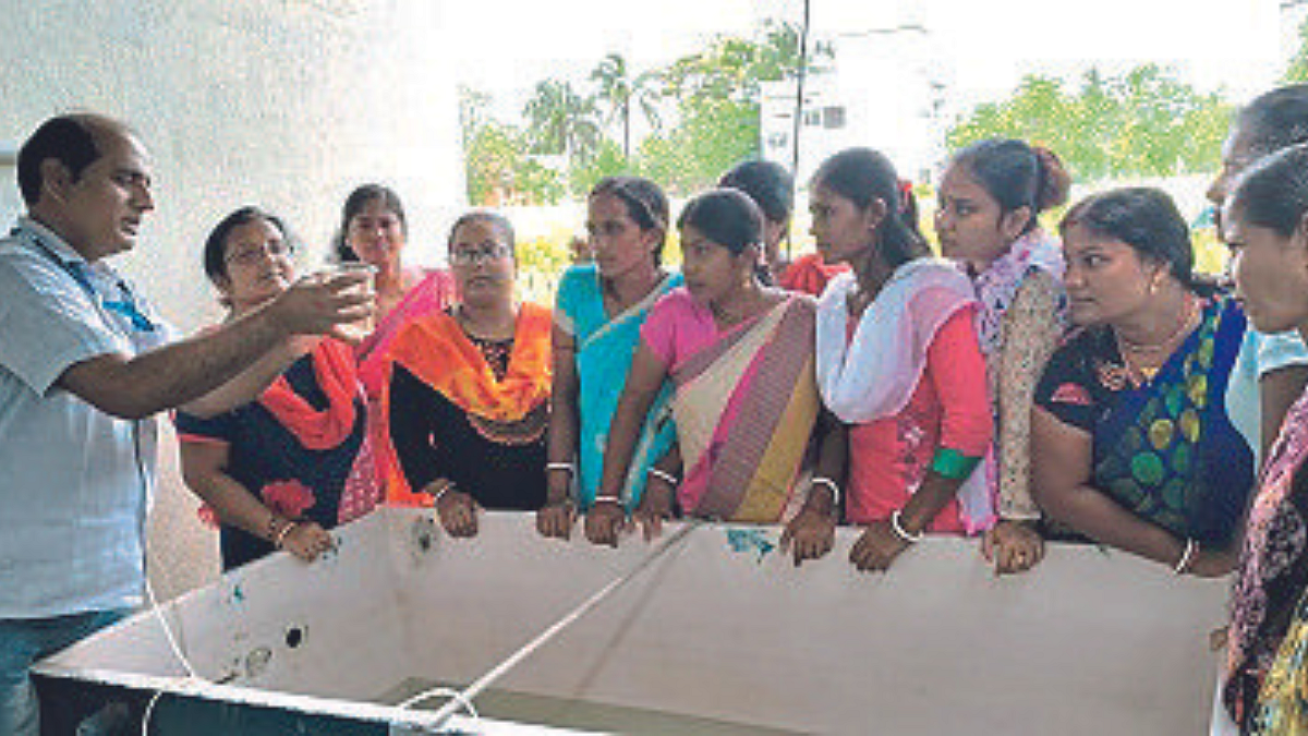 Fish Farming
