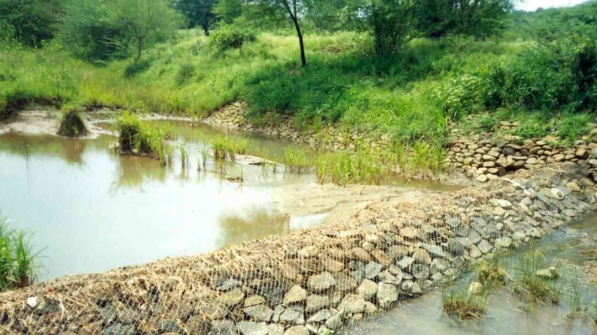 Water organization