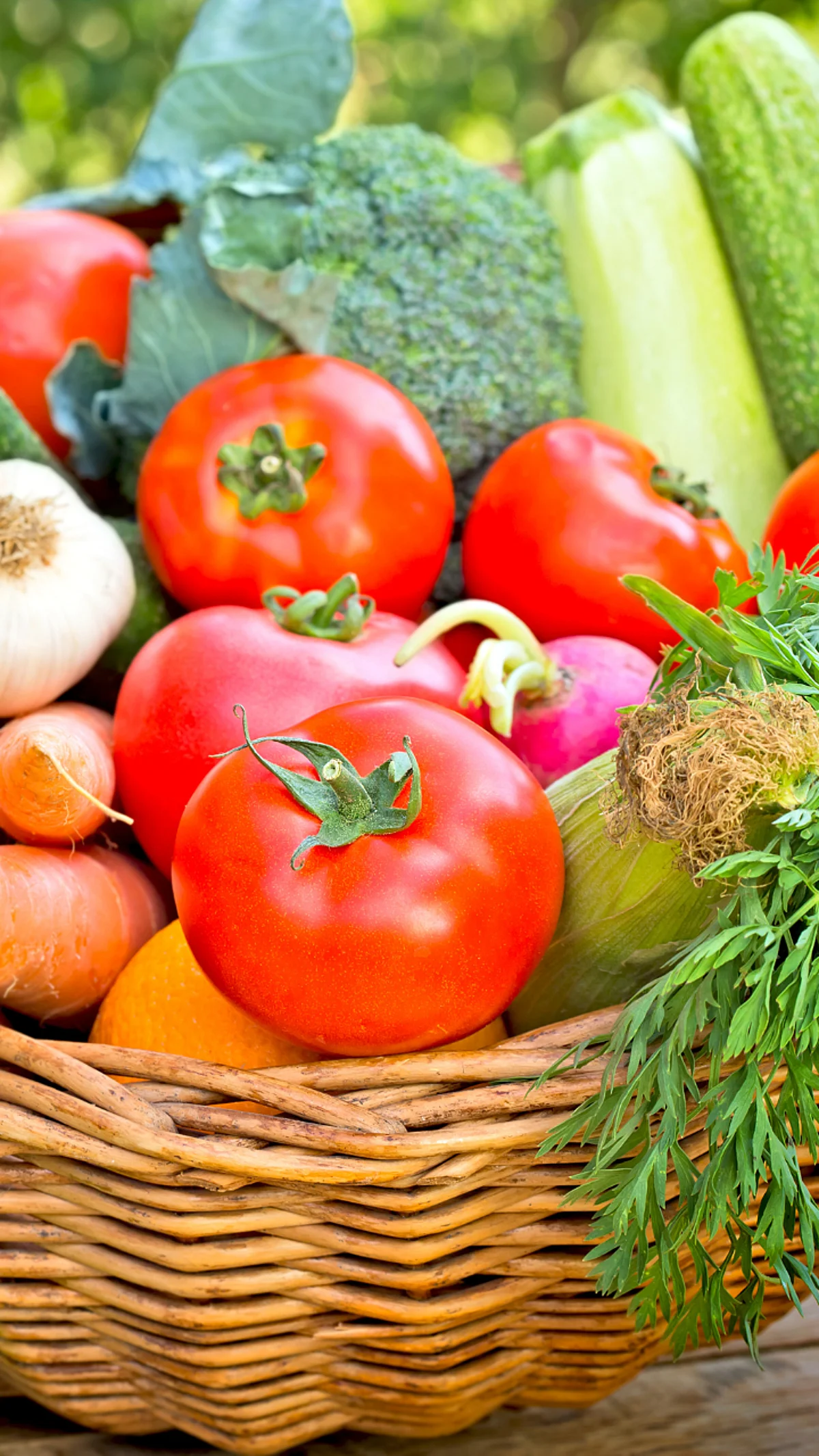 Vegetable
