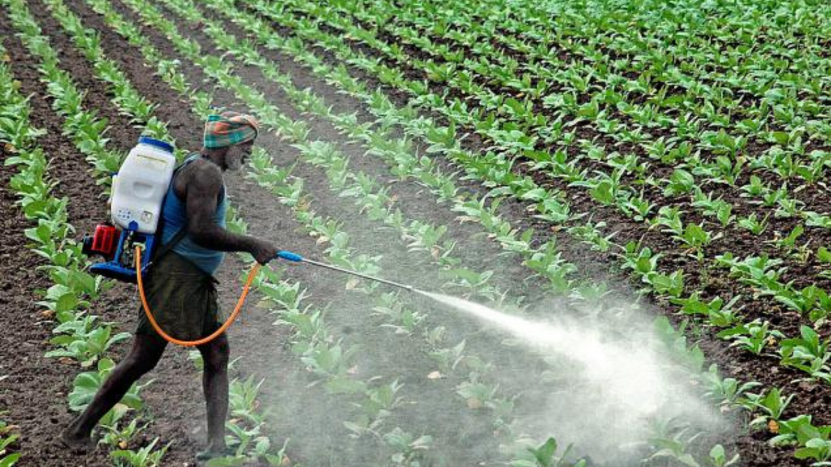 Glyphosate Pesticide Tannashak