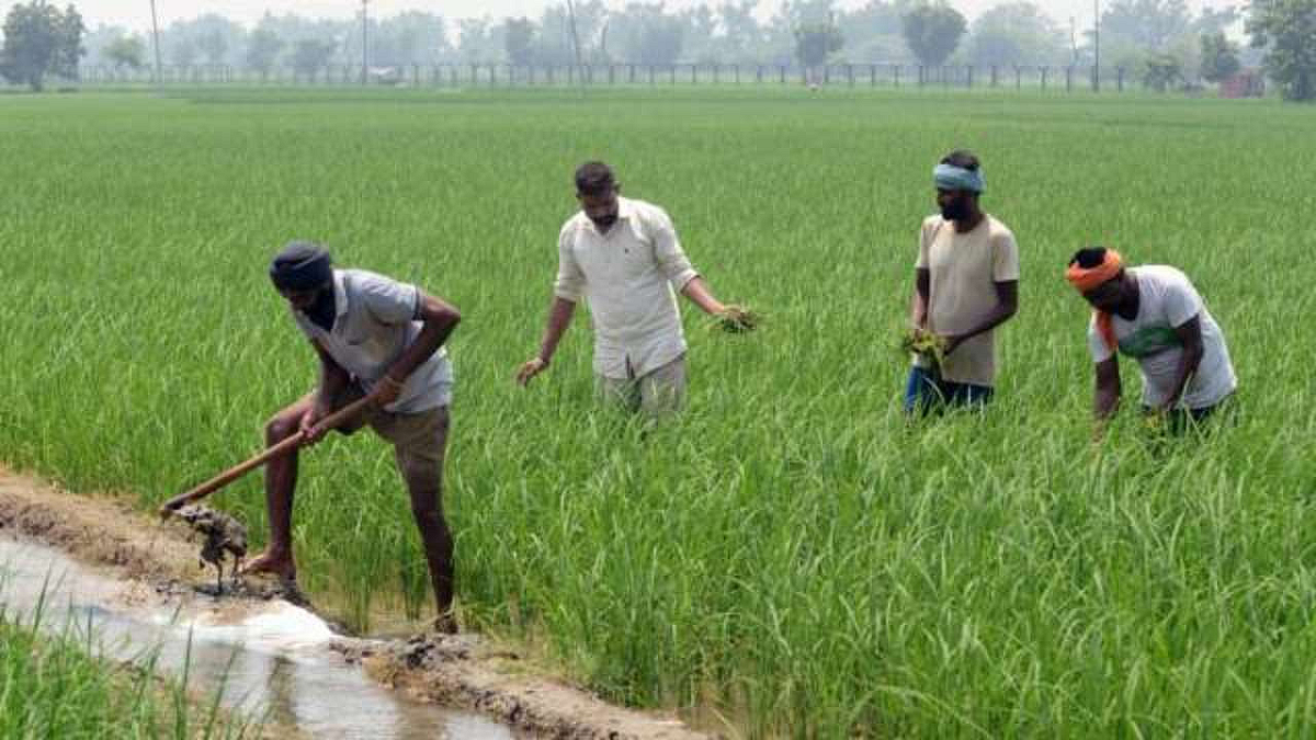 Government Scheme