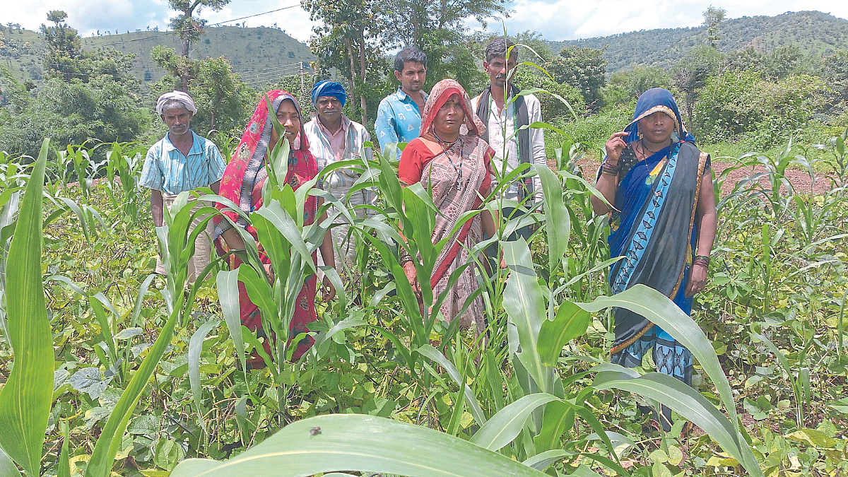 Rural Development