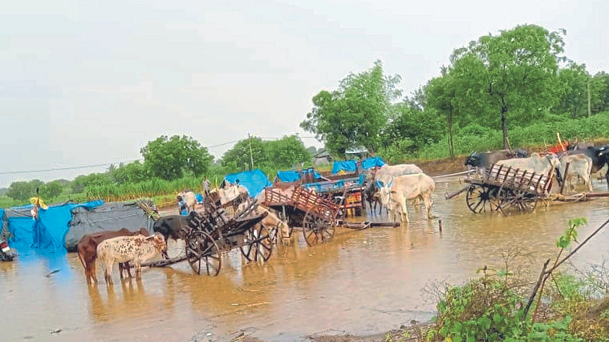 Sugarcane Labour : खेळ कुणाला दैवाचा कळला...