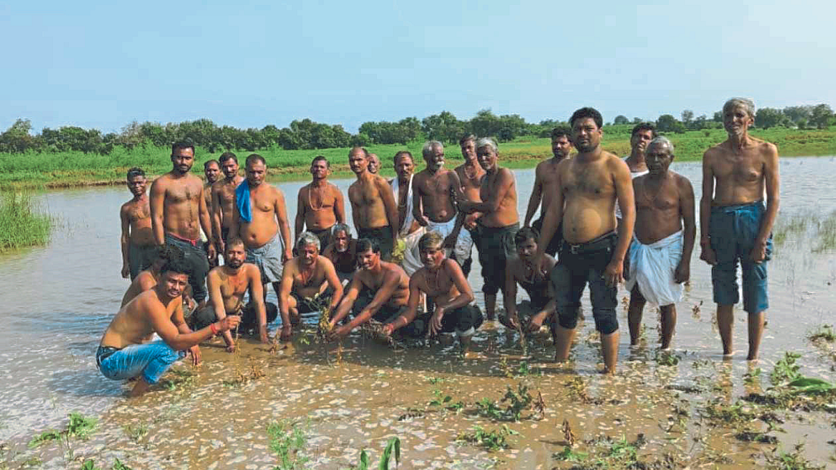 Crop Damage